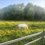 Billy Echols - @juntaovermue54 - Instagram