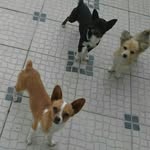 eddy_billy_vicky - @eddy_billy_vicky - Instagram