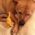 Billy Eden - @billyeden7639 - Instagram