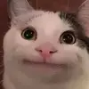 Billy Eden - @billy.eden76 - TikTok