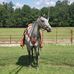 Billy Edenfield - Facebook