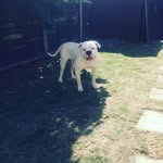 Billy edmonds - @edmonds8290 - Instagram
