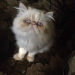 Bill Eggleston - @bill_eggleston - Instagram