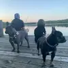 Billy Eichelberger - @billy.eichelberger - TikTok