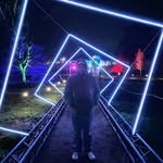 Billy - @billy_elam17 - Instagram