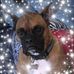 Bill Eldridge - Facebook
