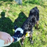 Billy Embry - @billy.embry.315 - Instagram