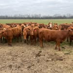 Billy embry - @billy324456 - Instagram