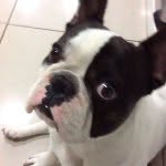 Billy Emery Mothe - @billy_the_kuty - Instagram