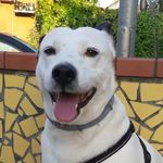 I am Billy - @billy_e_mery - Instagram