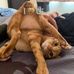 Billie Chris Engle - Facebook