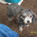 Billy Engle - Facebook