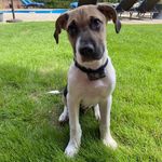 Billy Engle - @billyengle4 - Instagram