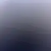 Billy - @dazedandconfusedbili - TikTok