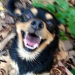 Bill Ennis - @wildbillz411 - Instagram