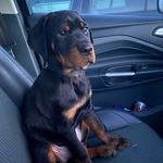 @billy_ennis - Instagram