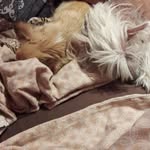 Billy Prennsberger - @billyprennsberger - Instagram