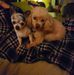 Bill Ensley - Facebook