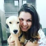 Billy cachorro cadeirante - @billy.especial_1.0 - Instagram