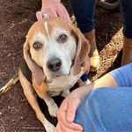 Billy Estes - @estesbilly32 - Instagram