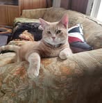 Billy Ewing - Facebook