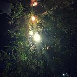 Billy Ewing - @billy.ewing_ - Instagram