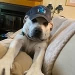 Bill Exum - @bexum46 - Instagram