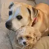 Bill Exum - @bill.exum - TikTok