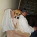 Billy Fields - Facebook
