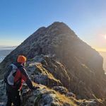 Billy FitzGerald - @bill.fitzgerald3 - Instagram