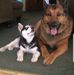 Billy Fosnock - Facebook