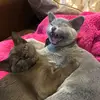 billy.nock - @billy.nock - TikTok