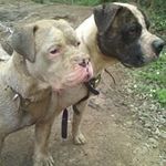 Billy Gardiner - @gardiner.billy - Instagram