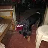 Billy Getza - @billy.getza - TikTok