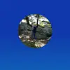 Billy Golden - @billygolden2 - TikTok