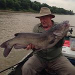 Billy Graves - @graves1188 - Instagram