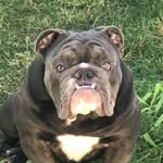 Bill Gulledge - @bill.gulledge.1 - Instagram