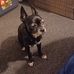Billy Gulledge - Facebook