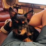 Billy Gulledge - @gulledge79 - Instagram