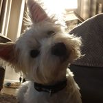 Billy Hankinson - @billyhankinson - Instagram
