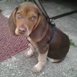 Billy Hardin - @hardin2233 - Instagram