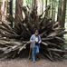 Bill Hartley - Facebook