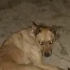 billyhenagen - @billyhenagen - TikTok