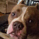 billy henderson - @billyhenderson67 - Instagram