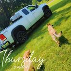 Billy Henry - Facebook