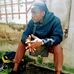 Bill Herbert - Facebook