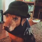 Billy Hickey - Facebook