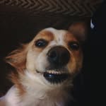 Billy Hickey - @billy.hickey - Instagram