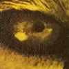 hillbillyhousedad - @hillbillyhousedad - TikTok