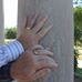 Bill Hindman - Facebook